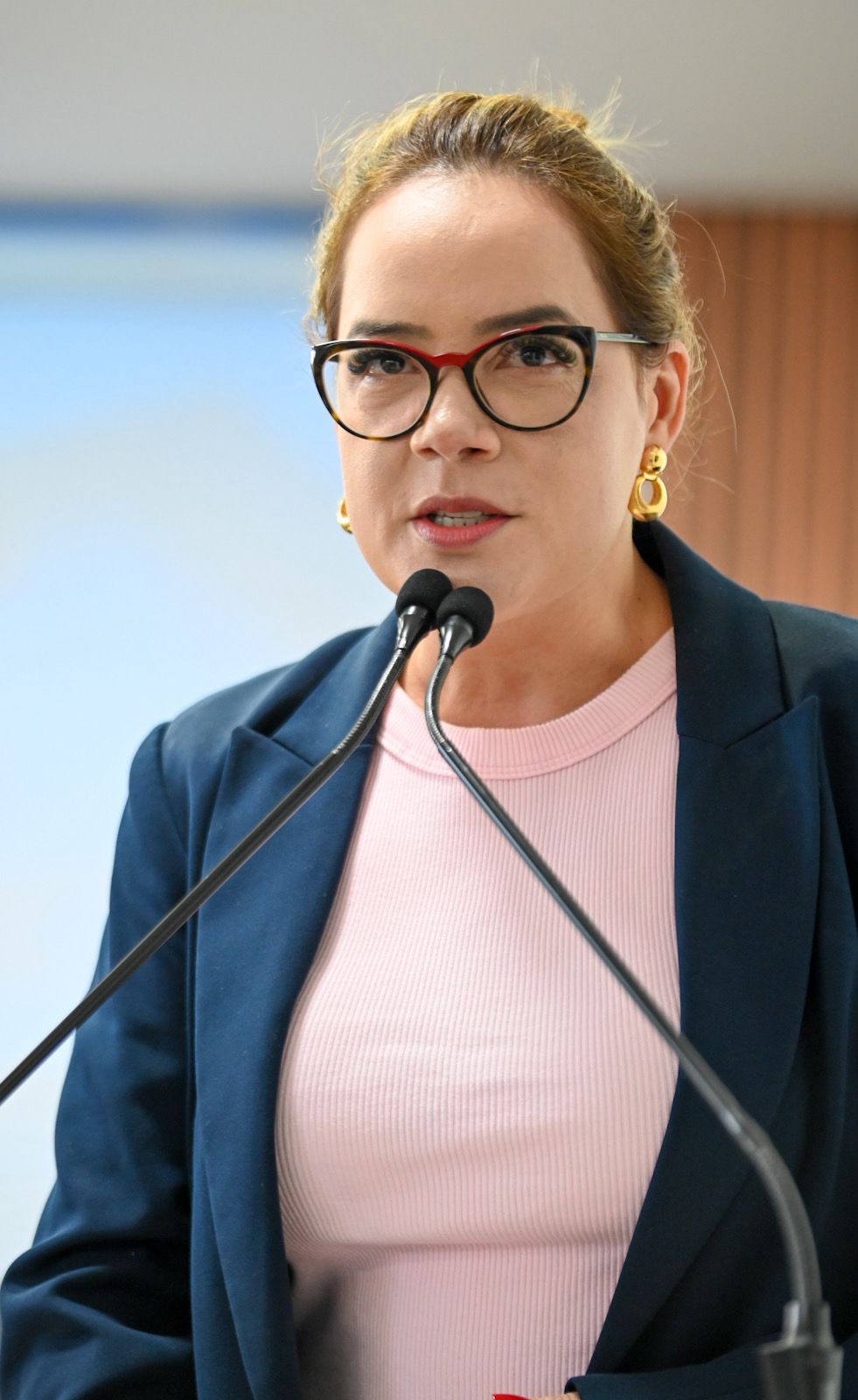 PL de Lucilene da Droga Vale que prevê cartazes com vídeo educativo para combater violência contra a mulher é aprovado